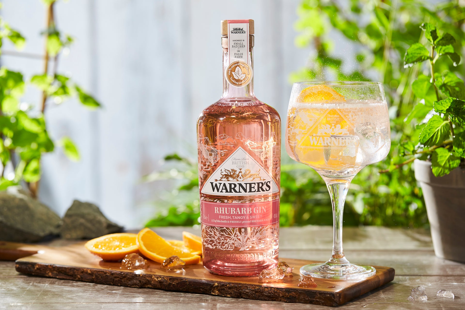 Warner's Rhubarb Tongue Twister – Warner's Distillery Ltd